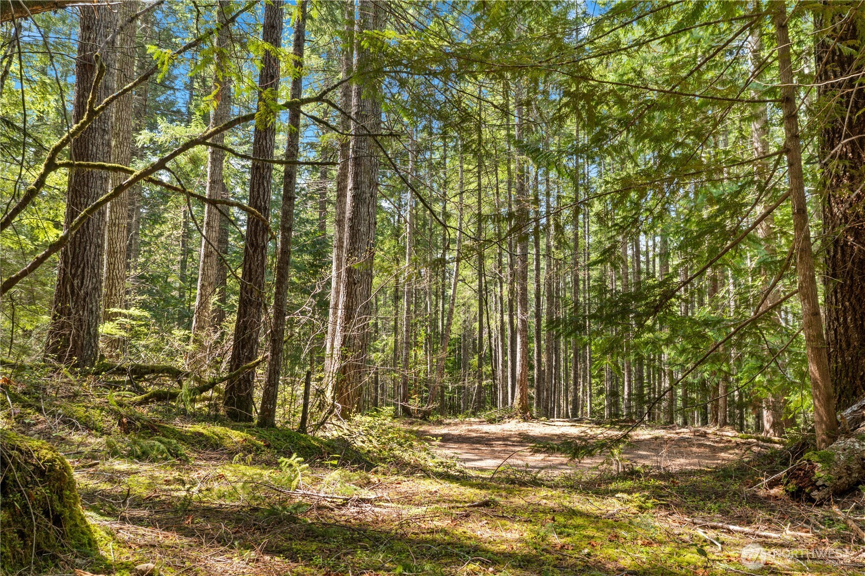 0 N White Tail Trail , Hoodsport, WA 98548