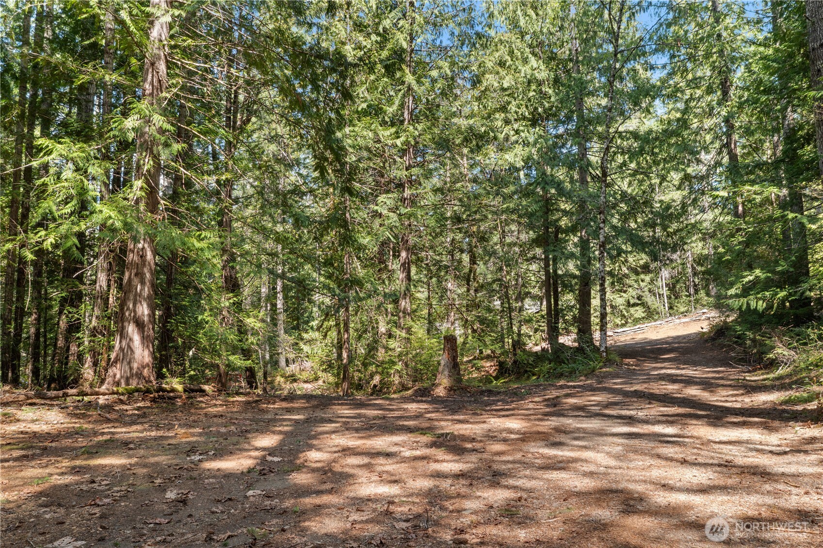 0 N White Tail Trail , Hoodsport, WA 98548