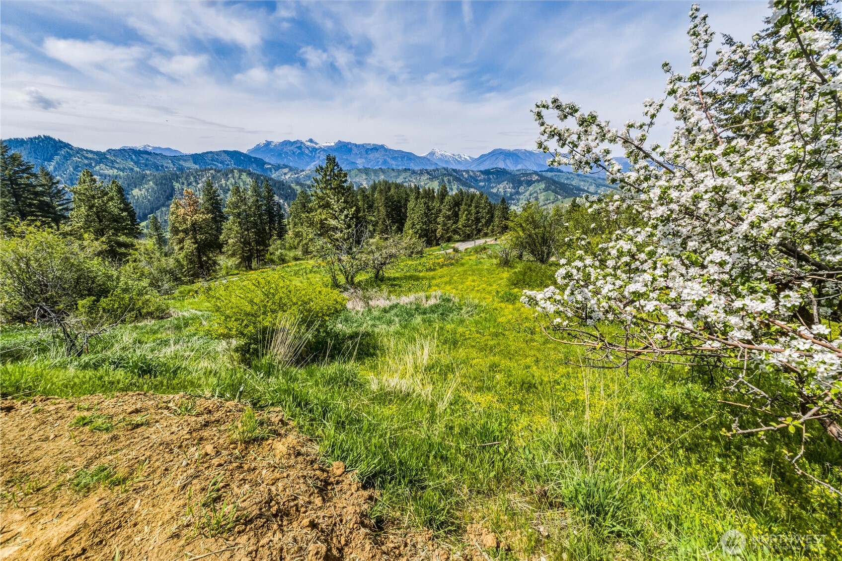 4723 Sky Meadows Road , Cashmere, WA 98815
