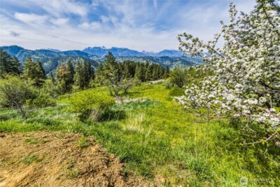 4723 Sky Meadows Road , Cashmere, WA 98815 - Photo 38