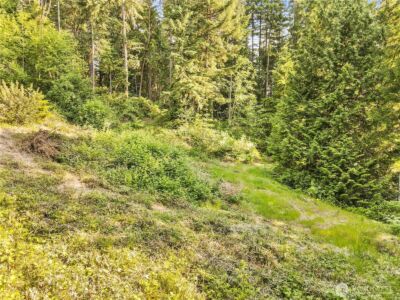 0 X NW Vasquez Way , Silverdale, WA 98383 - Photo 11