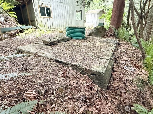 110 Trailwood Drive , Brinnon, WA 98320