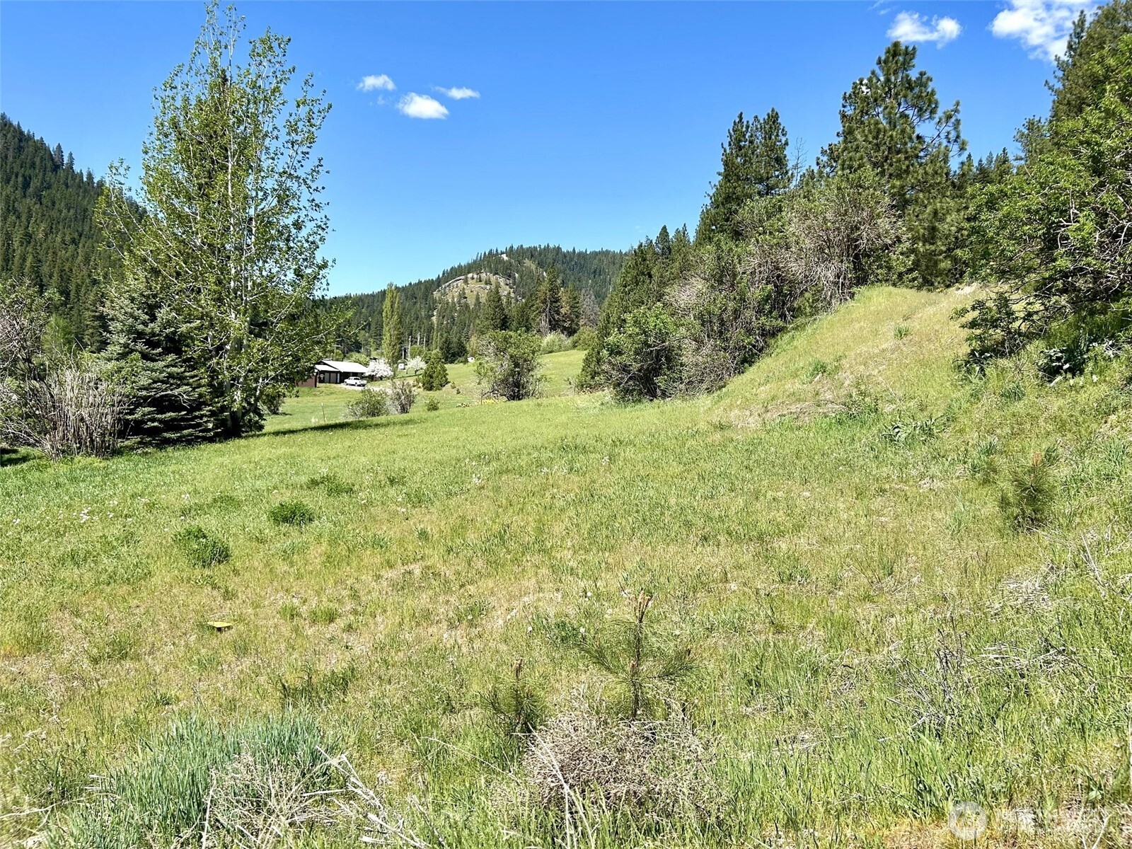17490 Chumstick Highway , Leavenworth, WA 98826