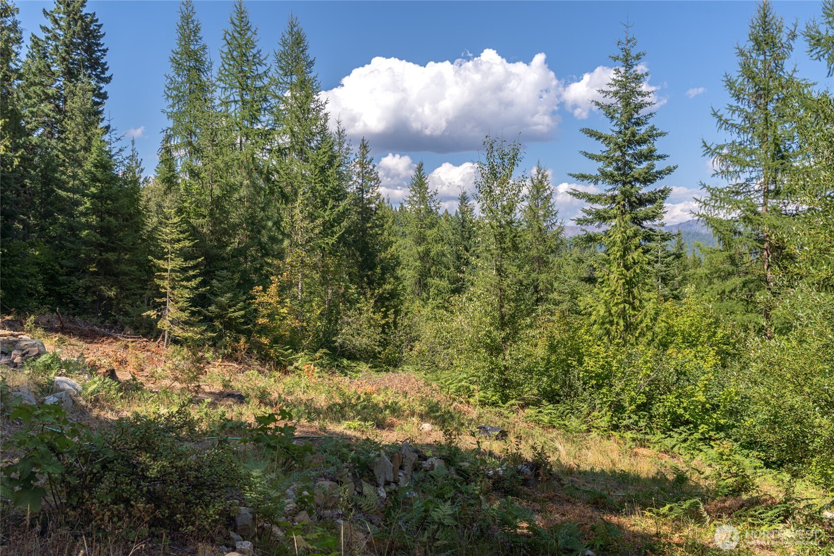 190 Tumble Creek Drive , Cle Elum, WA 98922