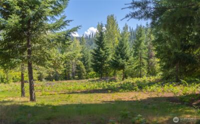 190 Tumble Creek Drive , Cle Elum, WA 98922 - Photo 4