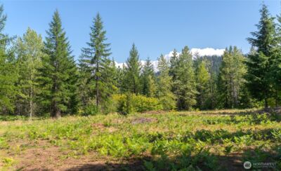 190 Tumble Creek Drive , Cle Elum, WA 98922 - Photo 5