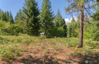 190 Tumble Creek Drive , Cle Elum, WA 98922 - Photo 8