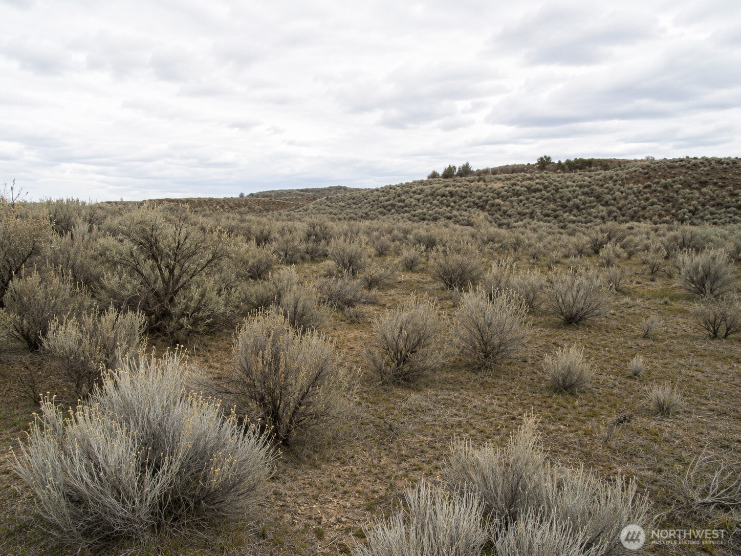 0 Lone Butte Court #24, Ephrata, WA 98823
