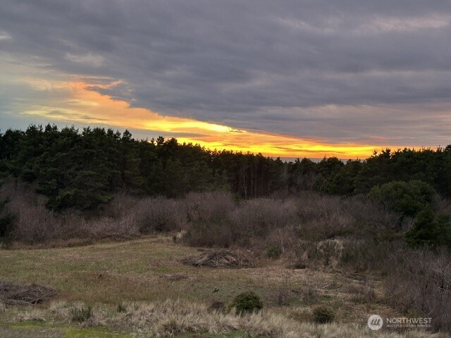 2855 S Forrest Street #206, Westport, WA 98595