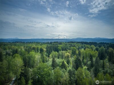 31610 114th Street E, Graham, WA 98338 - Photo 31