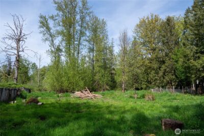 31610 114th Street E, Graham, WA 98338 - Photo 35