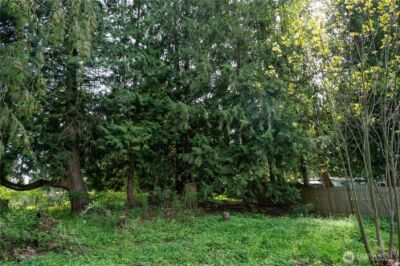 31610 114th Street E, Graham, WA 98338 - Photo 36