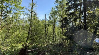 135 XX 415th Way SE, North Bend, WA 98045 - Photo 1