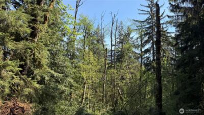 135 XX 415th Way SE, North Bend, WA 98045 - Photo 11