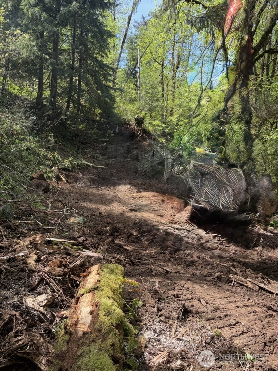 135 XX 415th Way SE, North Bend, WA 98045