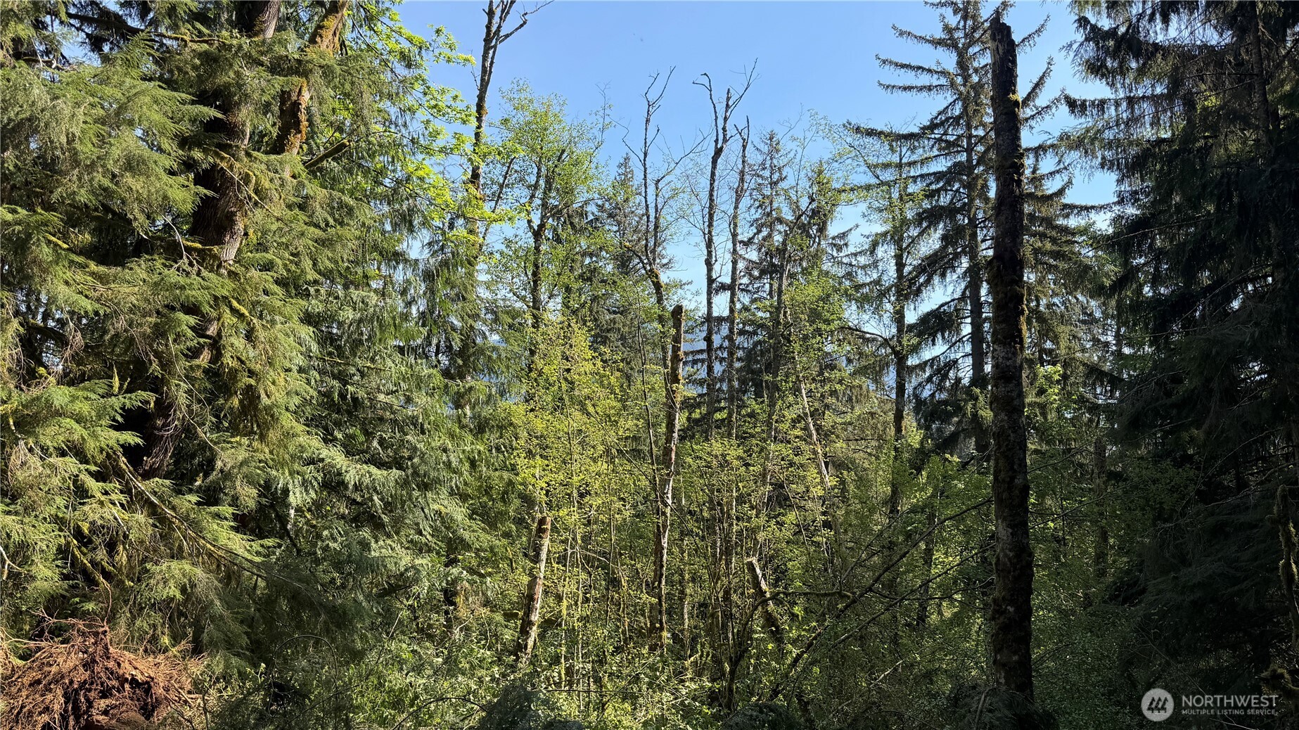 135 XX 415th Way SE, North Bend, WA 98045