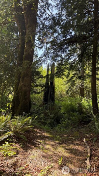 135 XX 415th Way SE, North Bend, WA 98045 - Photo 10