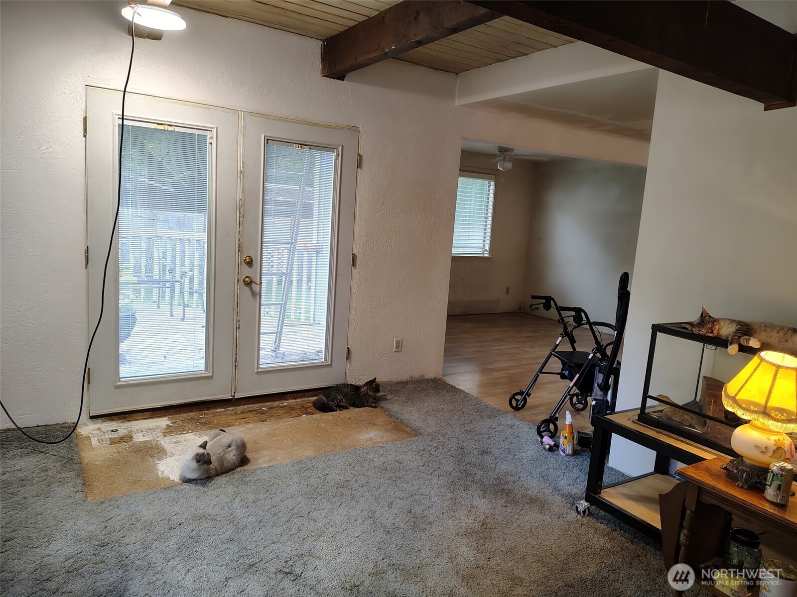 8504 Mahonia Court SE, Yelm, WA 98597