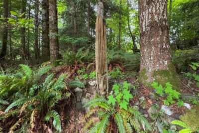 151 Kingo Ridge Road , Port Angeles, WA 98363 - Photo 27