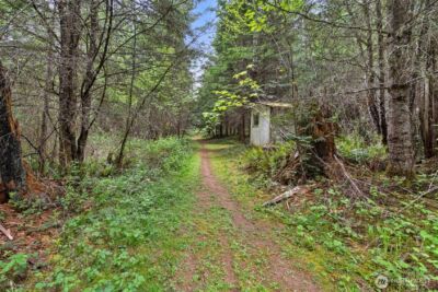 236 Chilvers Road , Chehalis, WA 98532 - Photo 33