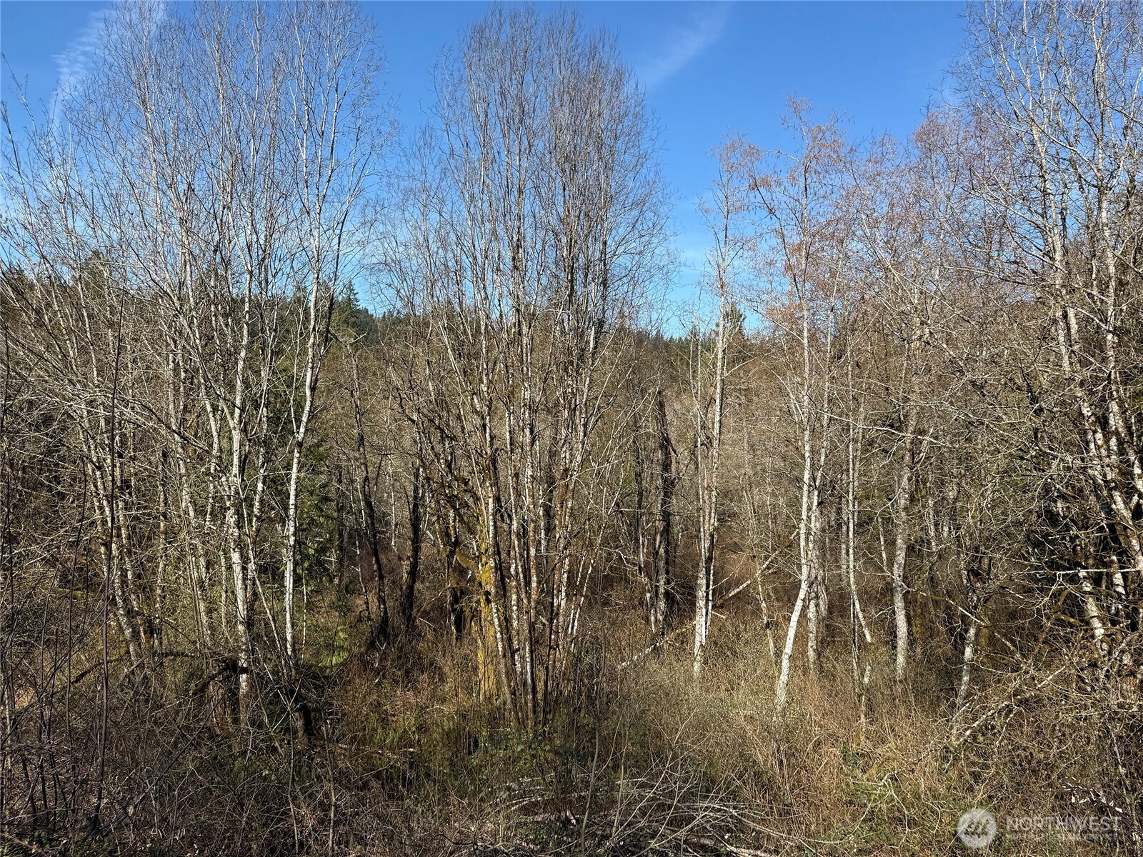 0 6XXX SE Sedgwick Road , Port Orchard, WA 98366