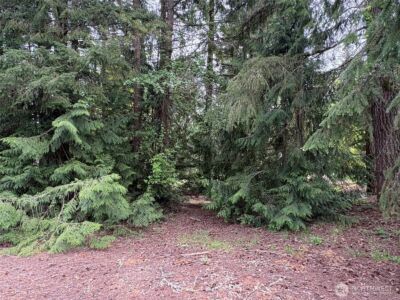 110 Rainier Court , Chehalis, WA 98532 - Photo 2