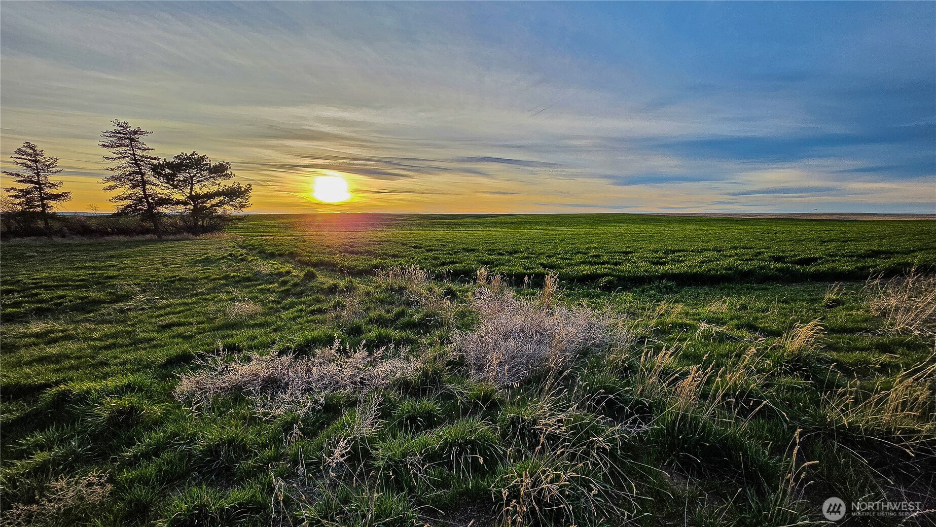 101 US Hwy 2 , Waterville, WA 98858
