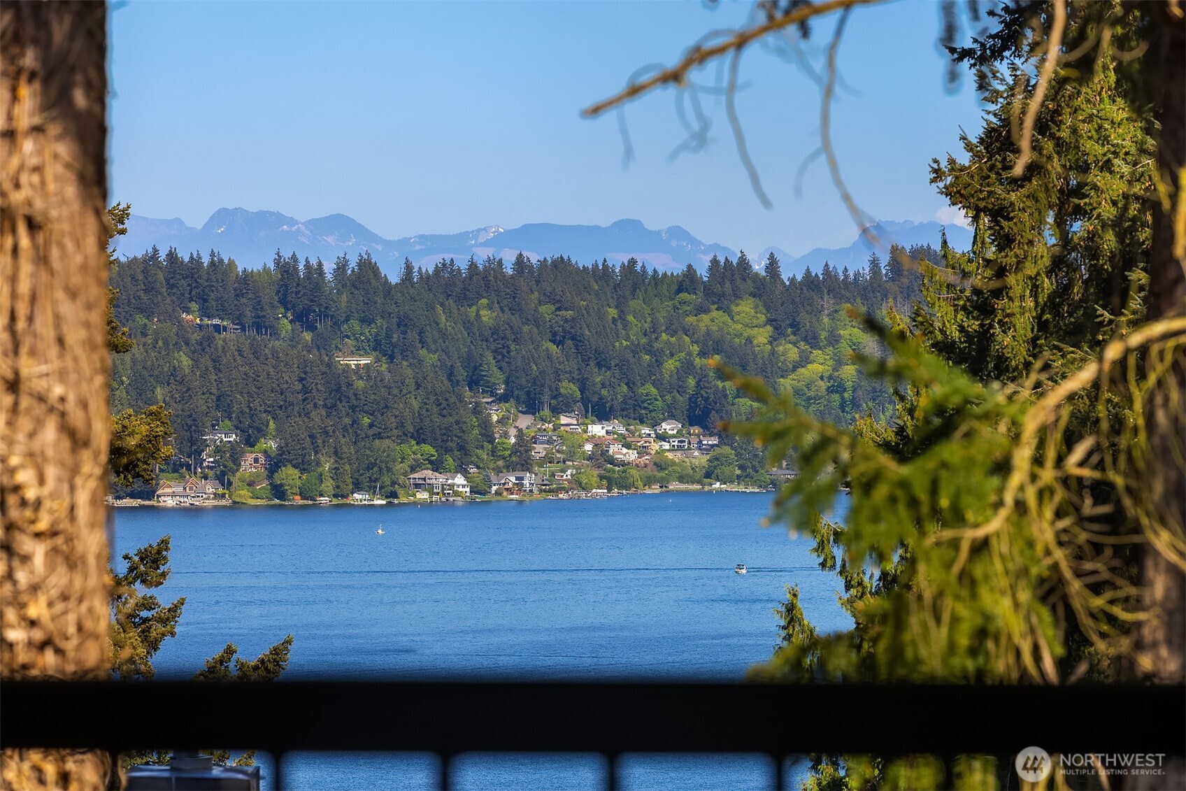 3216 168th Place SE, Bellevue, WA 98008
