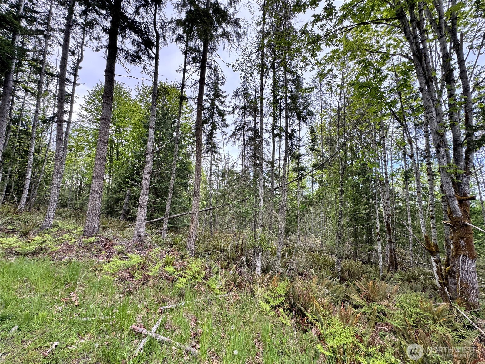 9999 Township Line Road , Port Angeles, WA 98362