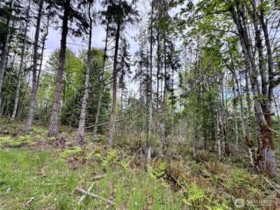 9999 Township Line Road , Port Angeles, WA 98362 - Photo 1