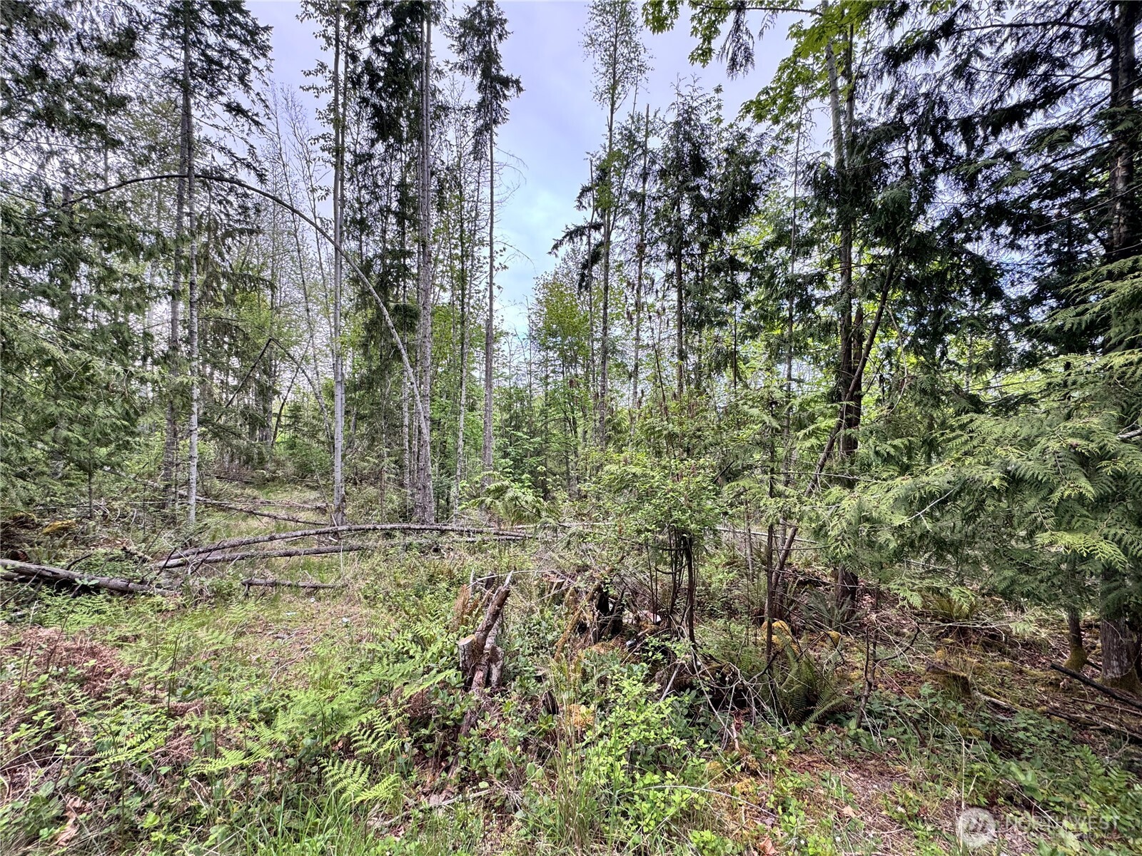 9999 Township Line Road , Port Angeles, WA 98362