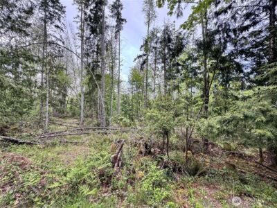 9999 Township Line Road , Port Angeles, WA 98362 - Photo 2