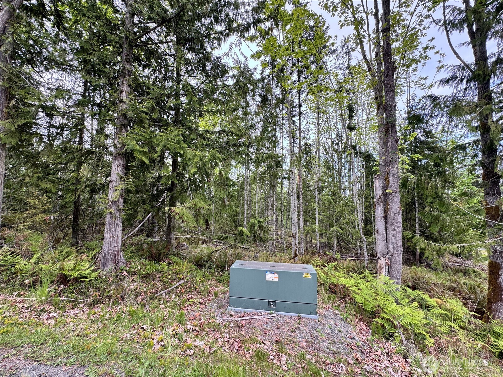 9999 Township Line Road , Port Angeles, WA 98362