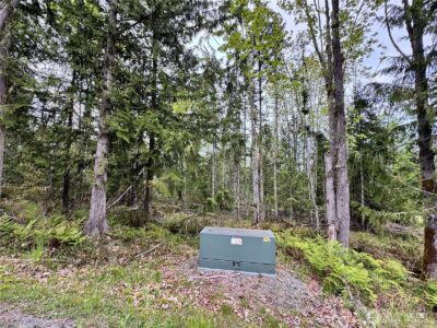 9999 Township Line Road , Port Angeles, WA 98362 - Photo 3
