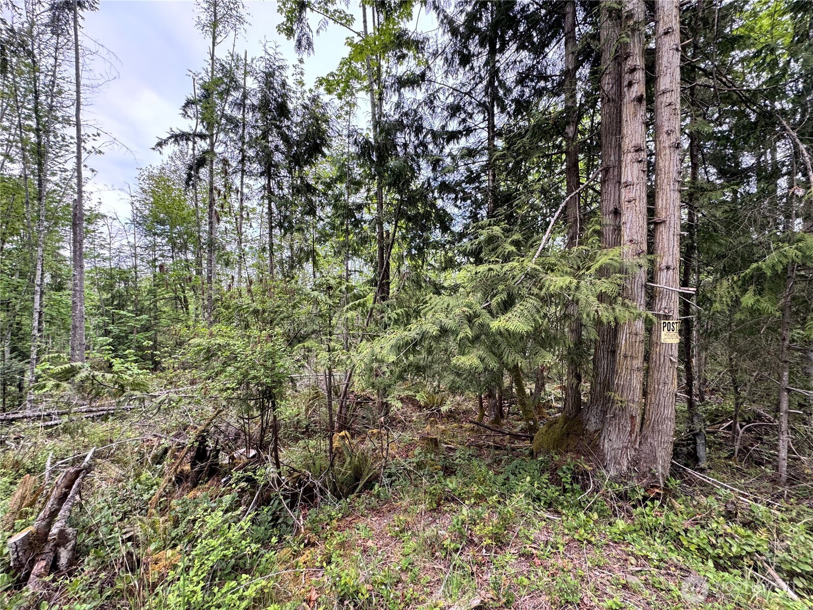 9999 Township Line Road , Port Angeles, WA 98362