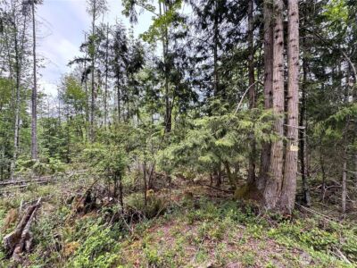 9999 Township Line Road , Port Angeles, WA 98362 - Photo 4