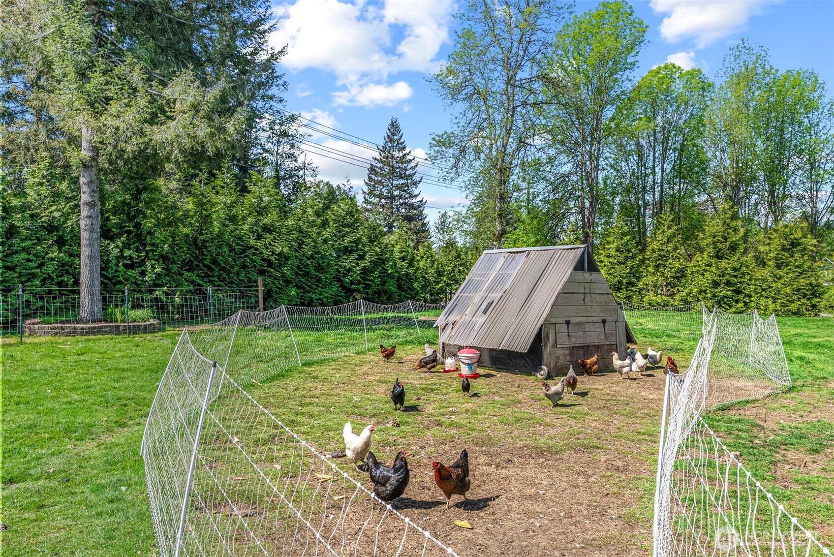 24716 NE 419th Street , Amboy, WA 98601