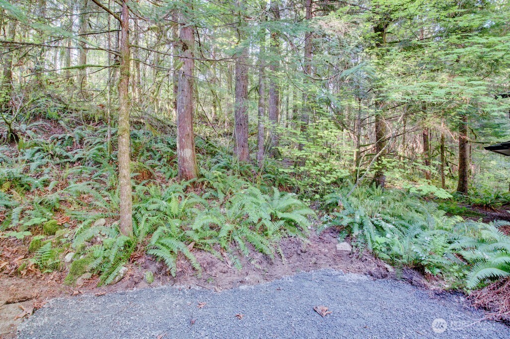 106 Gold Rush Road , Deming, WA 98244