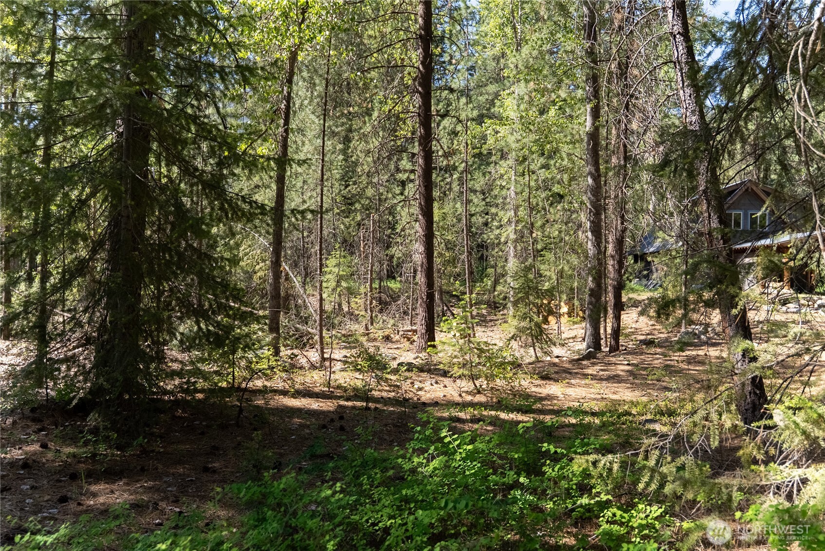 3 Mazama Bridge Road , Mazama, WA 98833