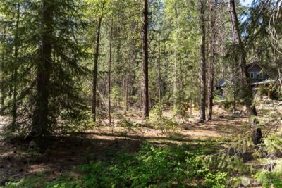 3 Mazama Bridge Road , Mazama, WA 98833 - Photo 23