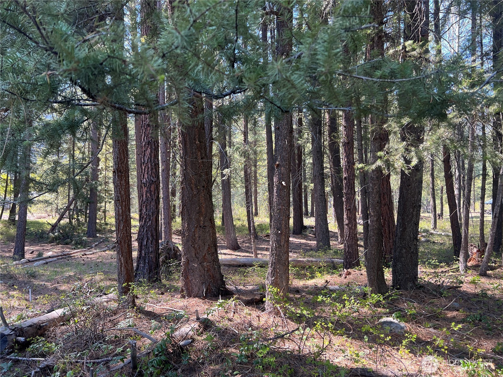 3 Mazama Bridge Road , Mazama, WA 98833
