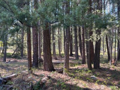 3 Mazama Bridge Road , Mazama, WA 98833 - Photo 26