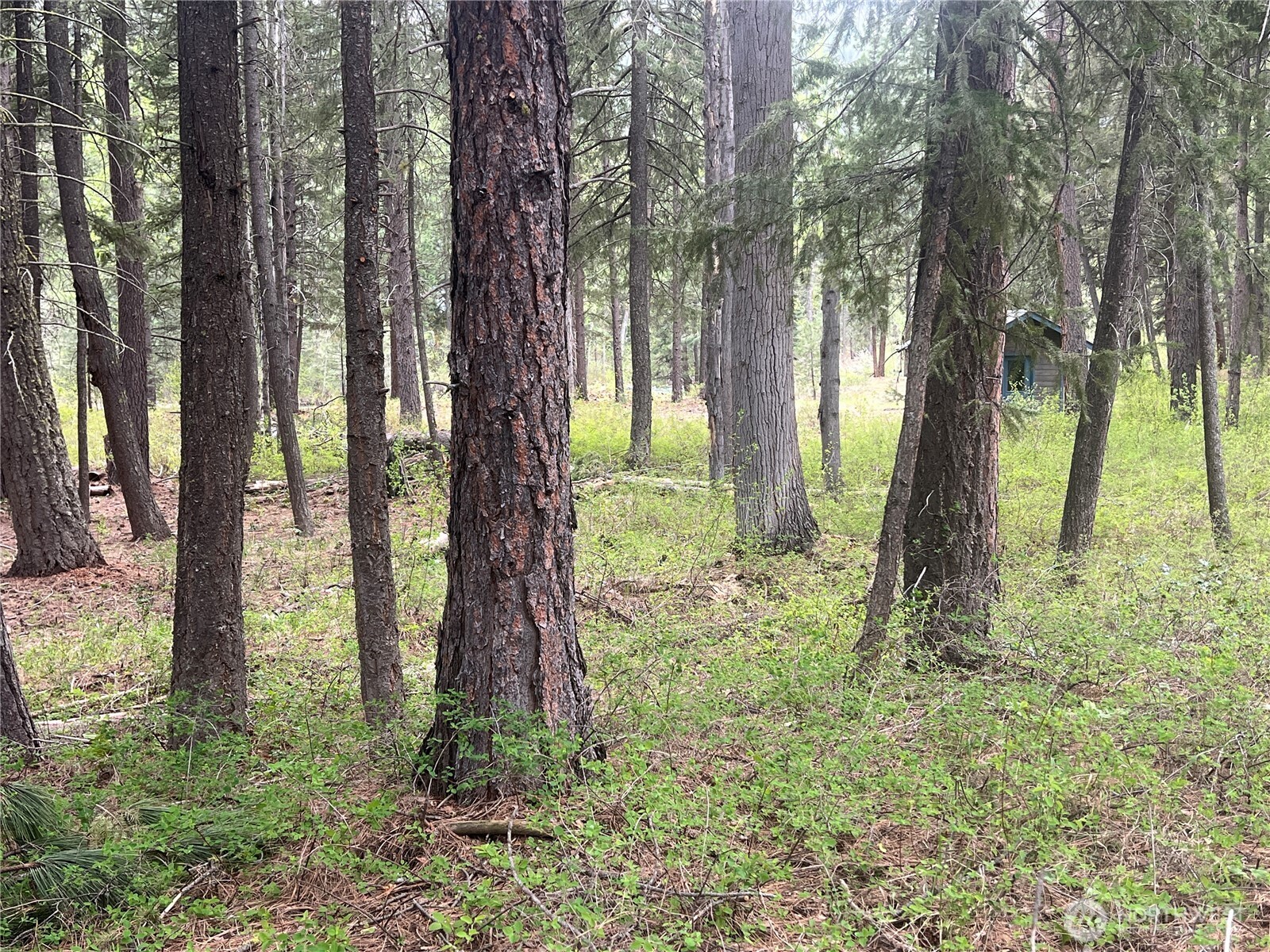 3 Mazama Bridge Road , Mazama, WA 98833