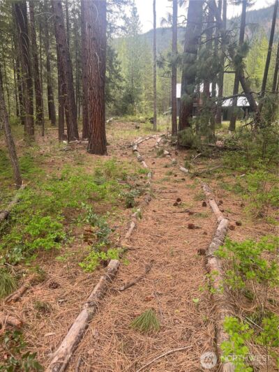 3 Mazama Bridge Road , Mazama, WA 98833 - Photo 28