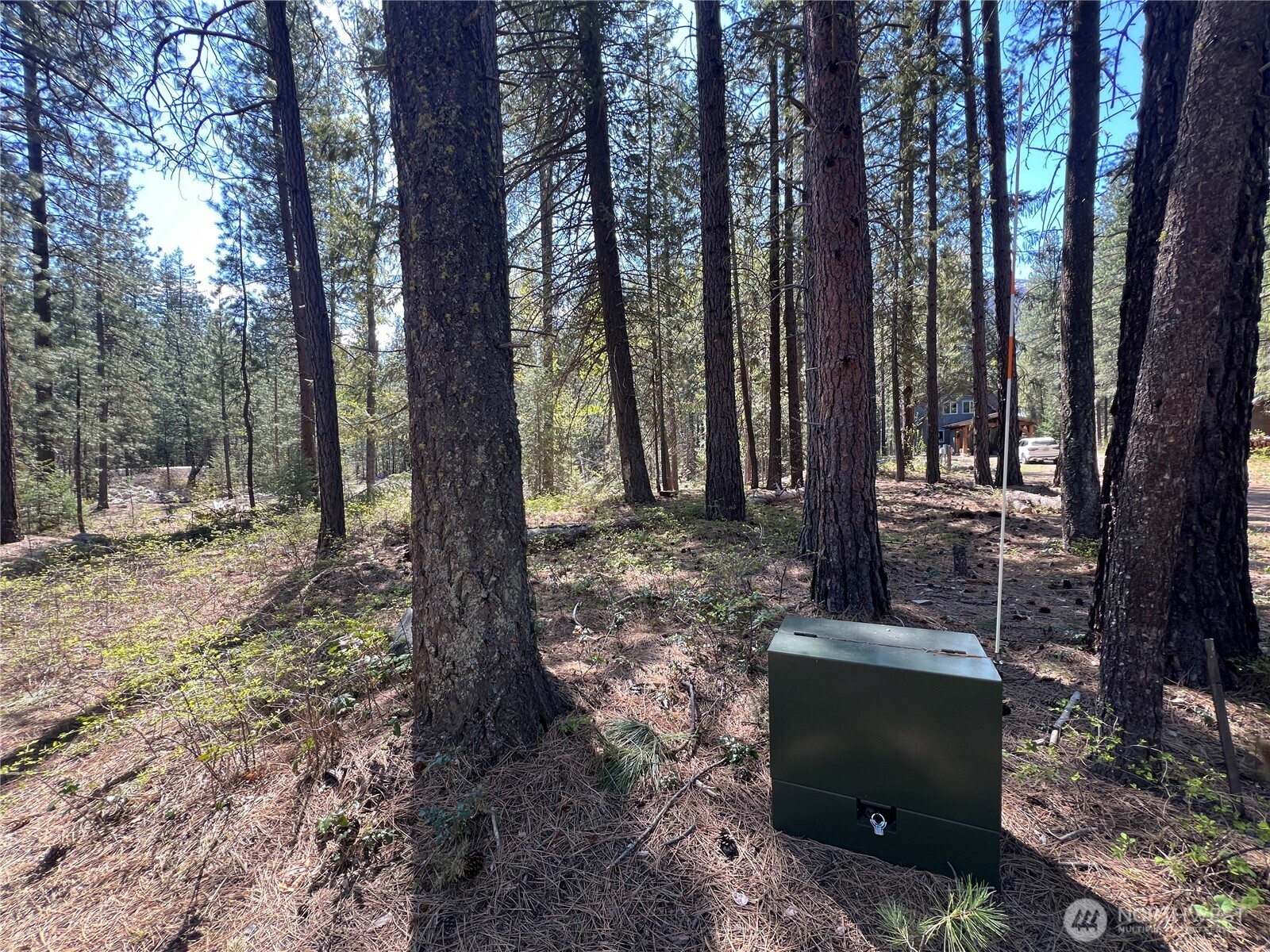 3 Mazama Bridge Road , Mazama, WA 98833