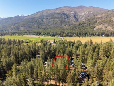 3 Mazama Bridge Road , Mazama, WA 98833 - Photo 4