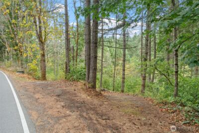 17614 Clearlake Boulevard SE, Yelm, WA 98597 - Photo 2
