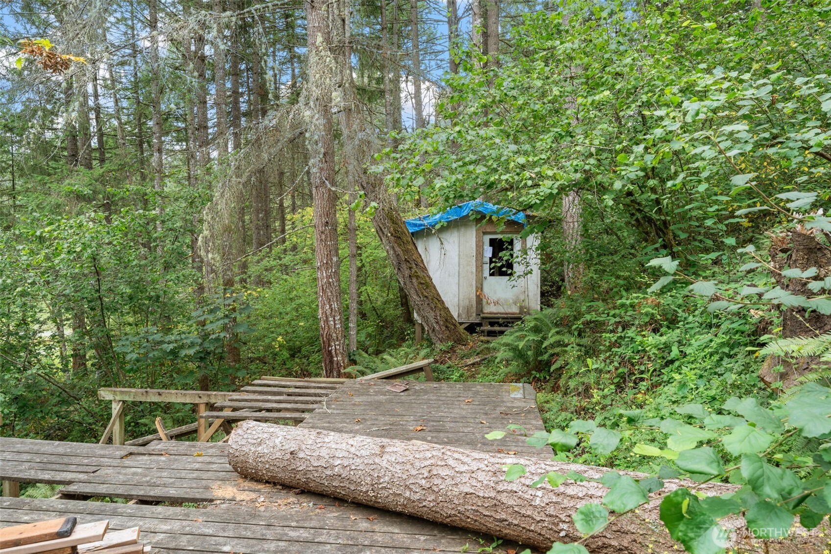 17614 Clearlake Boulevard SE, Yelm, WA 98597