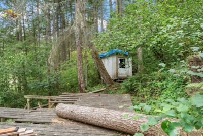 17614 Clearlake Boulevard SE, Yelm, WA 98597 - Photo 8