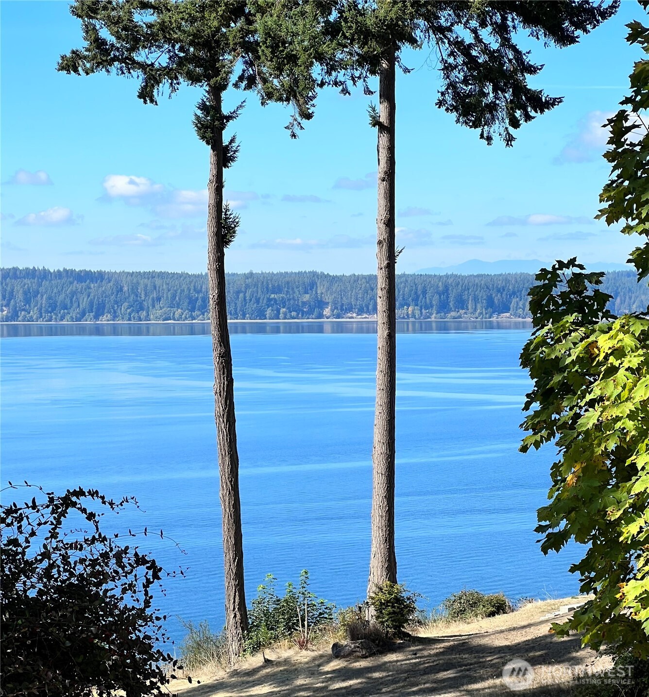 6902 190th Avenue SW, Longbranch, WA 98351